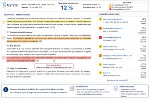 Exemple fictif d'un rapport Turnitin:Compilatio